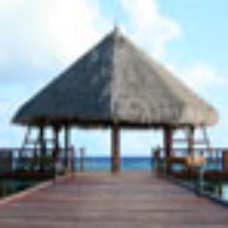 Home Style Authentic Indian Cuisine